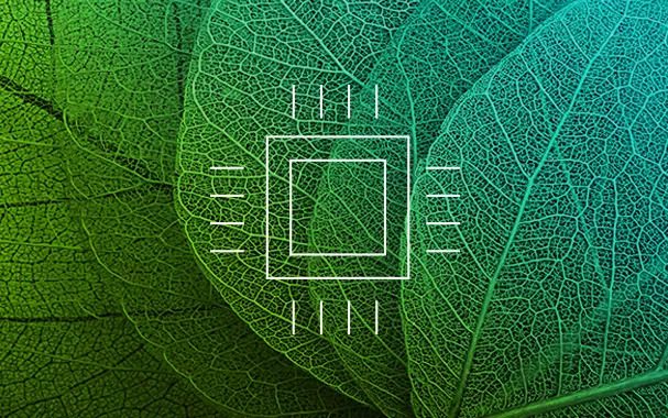 leaf 4